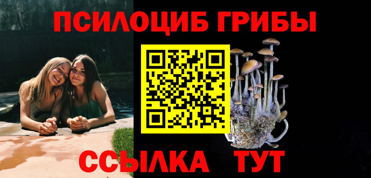 Обнинск  Галлюциногенные грибы прущие грибы  Вход с VPN 